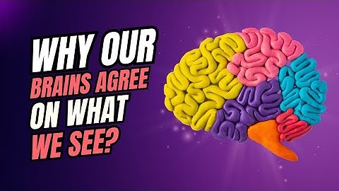 Why Our Brains Agree On What We See? #brain #neuroscience #science #viralvideo 