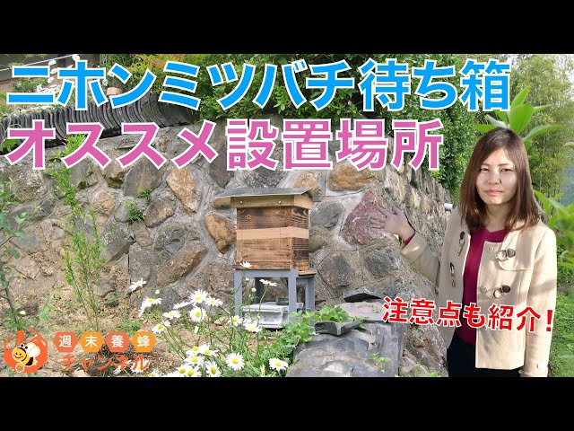 分蜂群れの捕獲のコツ2 適した場所にたくさん巣箱を設置しよう