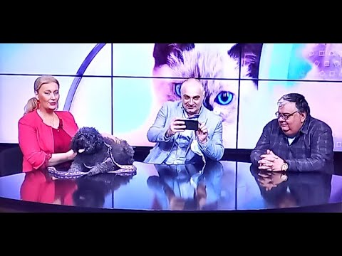 ბესო ჩუბინიძის ისტორიები ოთხფეხა მეგობარზე - ძაღლი ადამიანის ერთგული მეგობარია. ტ/კ „სილქუნივერსალი“