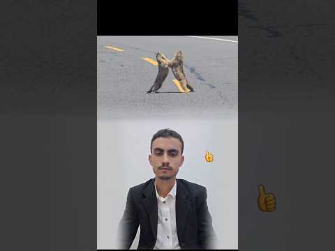 الزملة الطيبة تزرع في القلب رحة وفي العمل حما سا لايك اكسبلور 