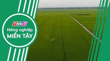 Ngành nông nghiệp triển khai nhiều kế hoạch hành động để đạt mục tiêu tăng trưởng 4% | NN Miền Tây