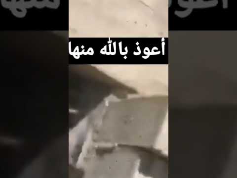 ثعبان أعوذ بالله منها تنفخ نفخ