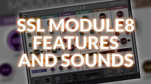 SSL MODULE8 Features And Sounds
