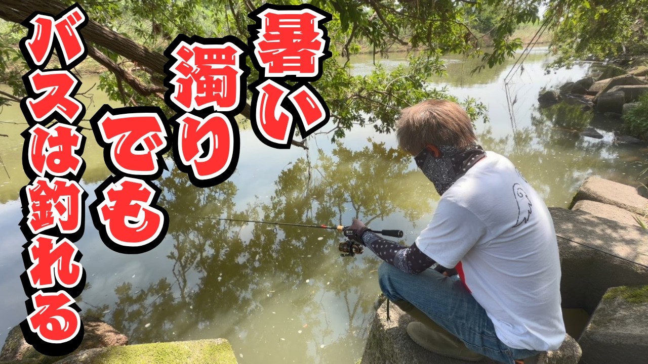 バスがいっぱい釣れるのはここ！！山形・福岡・埼玉の３県で子バスを釣って勝負！悪コンディションでも大漁！？優勝は誰の手に！bassfishing/blackbass