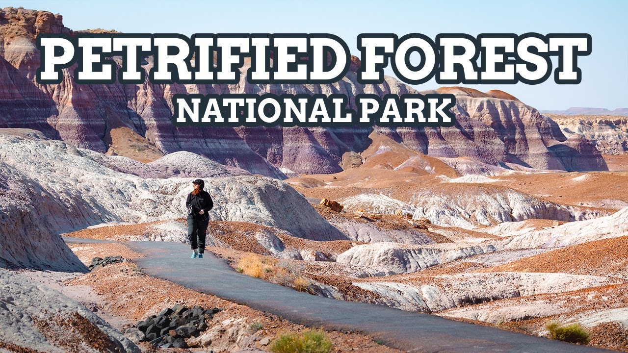 Exploring Petrified Forest National Park In Arizona: A Day To Remember