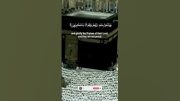سورة السجدة 🌙إنما يؤمن بآياتنا الذين إذا ذكروا بها خروا سجدا..🌙