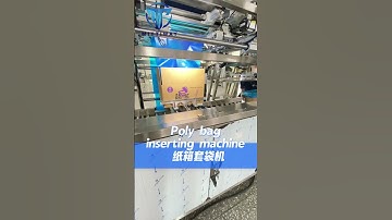 Bag Folding Machine Oil Bag Inserter Food complete line packaging