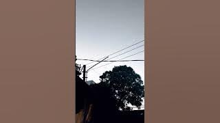 mentahan video aesthetic langit abu abu