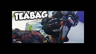 Teabag King Strikes \The Tea Bag King song