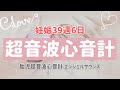 【エンジェルサウンズ】胎児超音波心音計【妊娠39週6日】