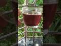 সহজে রং চা তৈরি করার পদ্ধতি  ☕ #shorts #reels #viraltea #food