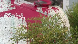 Raw: Statue Of John Sutter Vandalized In Sacramento