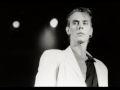 Peter Murphy mp3