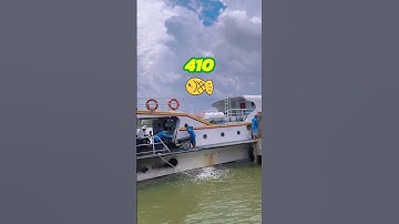 Đặt Vé Tàu Côn Đảo Nhanh Chóng & Tiện Lợi Tại SOHA Group 🛥
