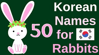 50 Korean Names for Rabbits (with meaning)