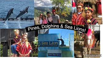 Chillin’ in Baguio to Splashin’ with Dolphins – Our Travel Diaries!