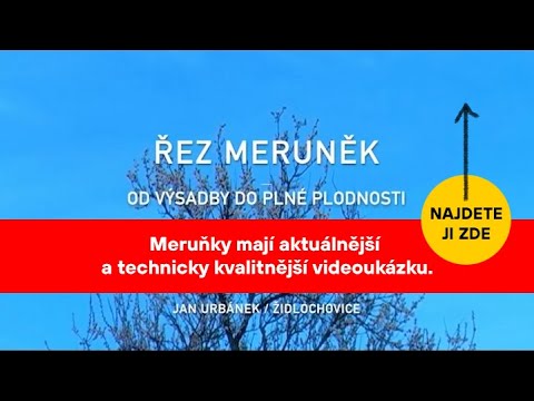 Video: Co Je Meruňka?