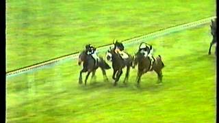 Ardross 1981 jockey club cup