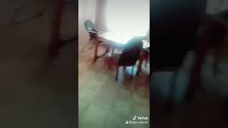 Un Chaneque Video Chistosos