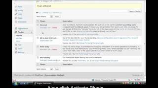 Crashed Challenge: Wordpress Theme and Plugin Config