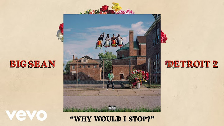 Big Sean - Why Would I Stop? (Audio)