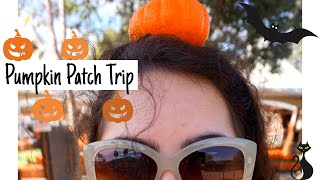 Pumpkin Patch Trip | 2016