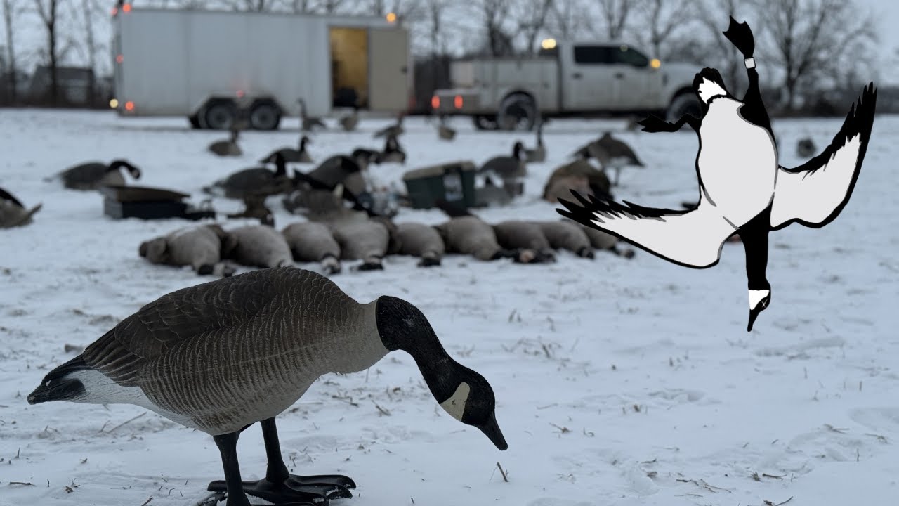 Snowy Pit Blind Hunt - Late Season Honker Beatdown!