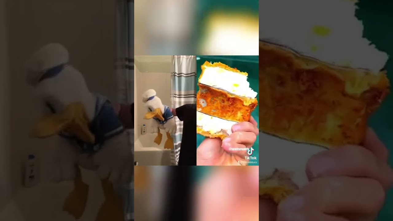 Sleduj Donald Duck is bad #shorts na YouTube Sleduj Donald Duck is bad #shorts na YouTube