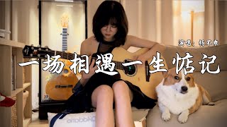杨不乖 - 一场相遇一生惦记 (抖音热播DJ版)『夜深人静我又想起了你，入心的人该怎么忘记，脑海都是你温柔的身影』【2k25抖音火流行歌曲推荐TikTok】『动态歌词MV』