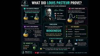 How did Louis Pasteur Disprove Spontaneous Generation |swan-neck flask Experiment | MicroVerse