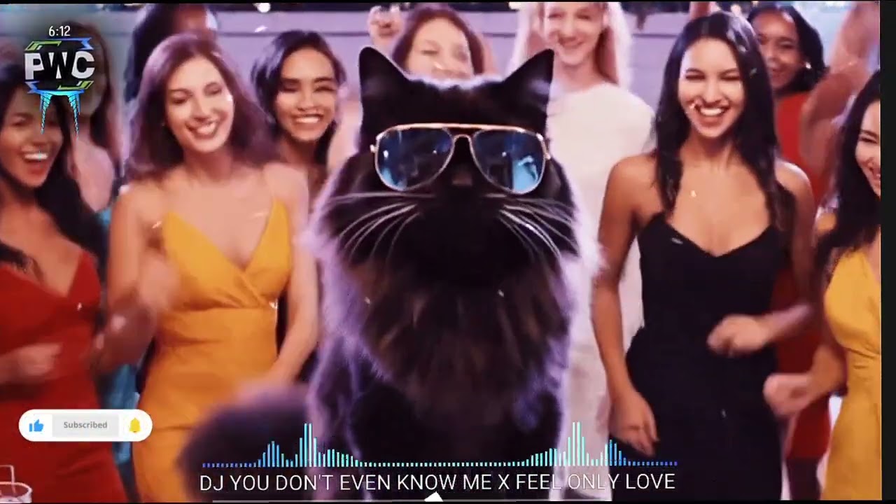 DJ YOU DON'T EVEN KNOW ME X FEEL ONLY LOVE