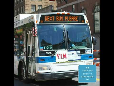 Buses