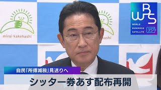 シッター券17日配布再開　自民「所得減税」見送りへ【WBS】（2023年10月16日）