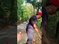 Too much dry leaves ,need to be clean for the safety of every traveler #publicservice #community