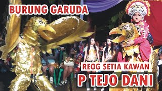 Penampilan Burung Garuda Reog Setia Kawan Kalipepe 2021