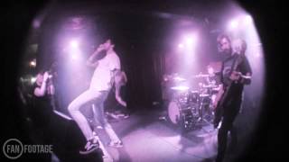 Hornets Stay Free Voodoo, Belfast Fanfootage