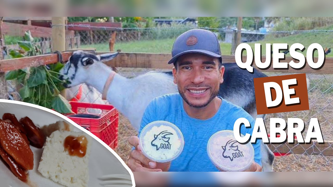 Cómo Hacer QUESO de CABRA [🐐👉🏼🧀]