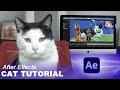 After effects cat tutorial  just dance 2023  inspira stop motion
