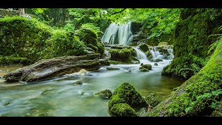 forest stream live wallpaper screenshot 1