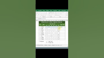 Cách tính ngày công trong excel bằng hàm Countif #thuydungle #tinhocvanphong