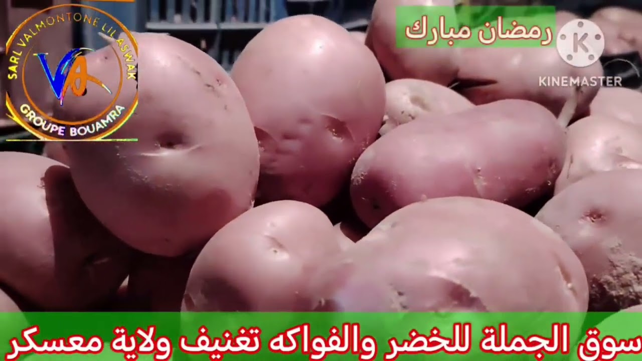 اسعار الخضر والفواكه في سوق الجملة تيغنيف ولاية معسكر ليوم السبت 07 مارس 2026 أسواق الجزائر