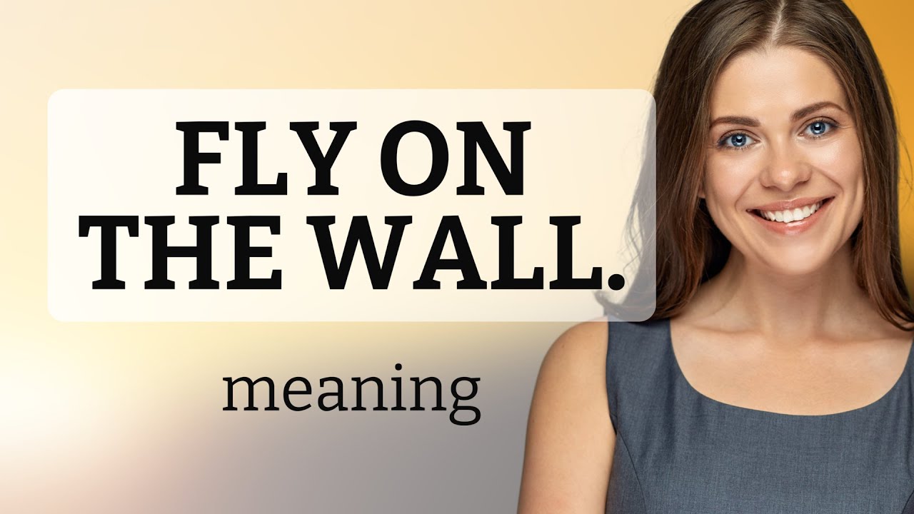 Understanding the Phrase "Fly on the Wall" YouTube