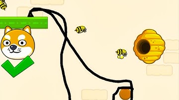 Save The Dog Speedrun Gameplay Level 184