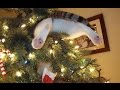 Funny Cats vs Christmas Trees - Funny Cats Christmas Compilation -  part 2