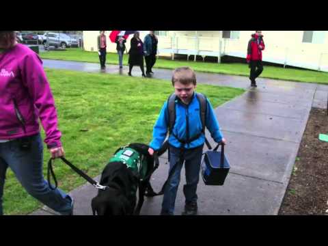 autism-service-dog-kept-out-of-school