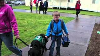 Autism service dog kept out of school