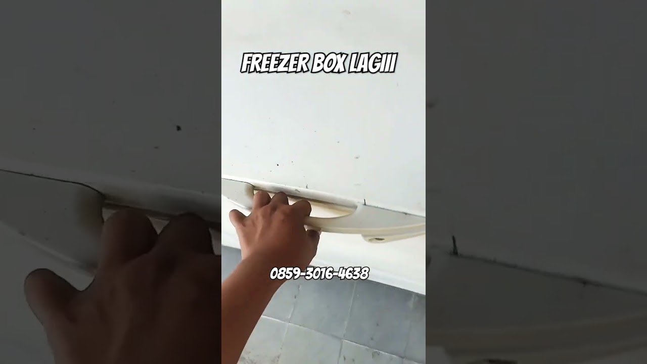 SERVICE FREEZER BOX LAGI LUR.. 