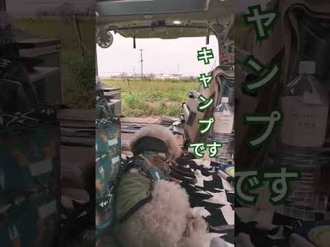 キャンプ場でもキャンピングカー車内が好きなトイプードル #イヌとバンライフ #inuvan