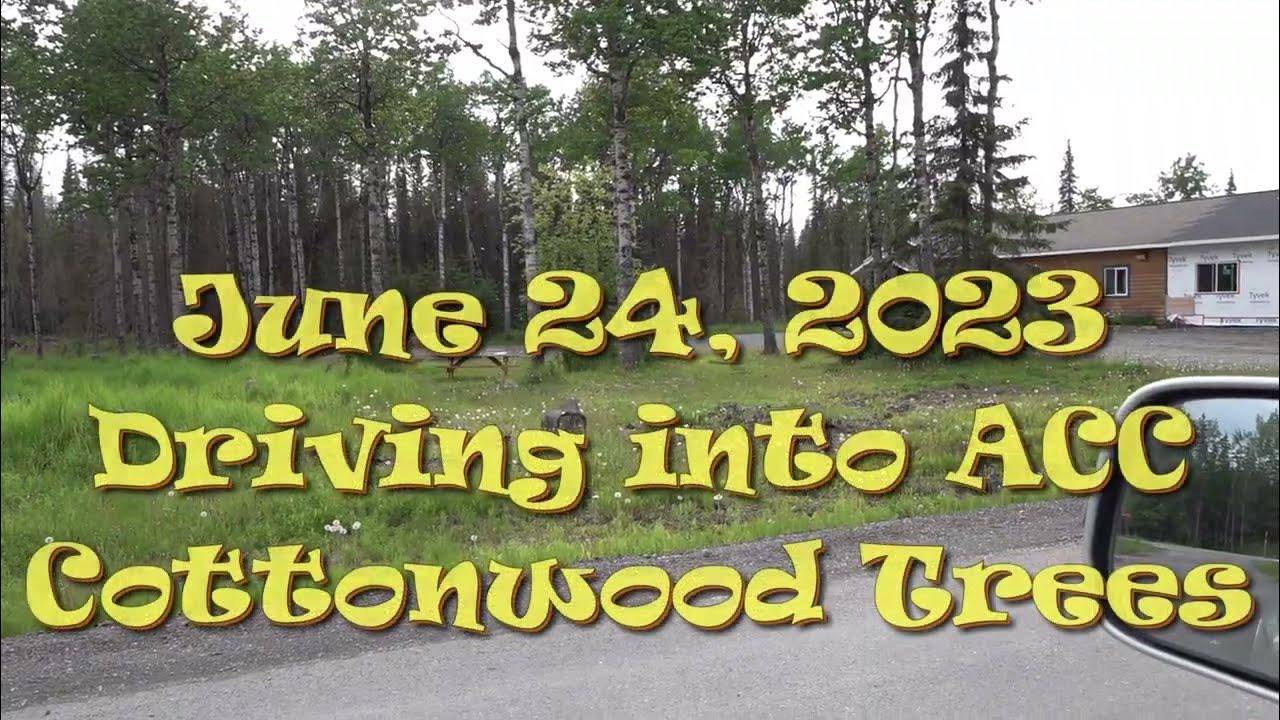 cottonwood tress acc movie YouTube