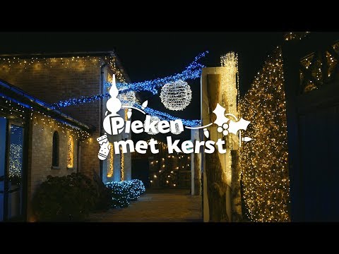 Video: Waarom zijn kerststerren kerstbloemen?